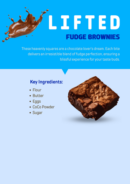 Fudge Brownies (2)